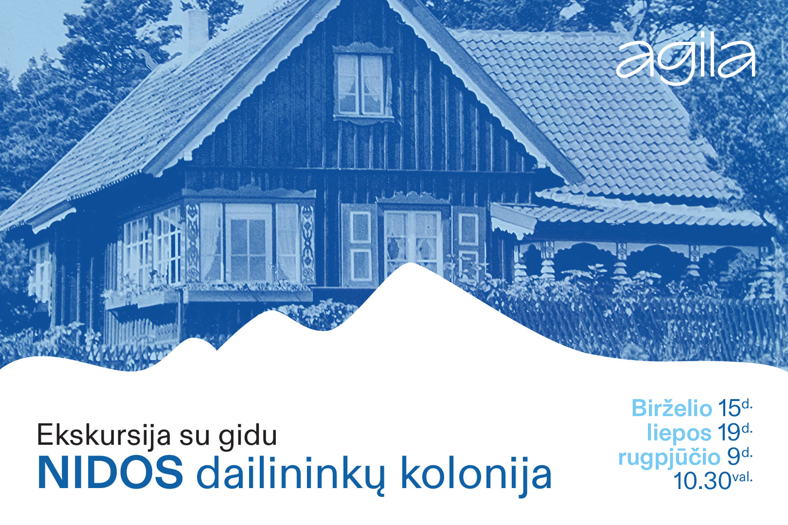 Nidos dailininkų kolonija