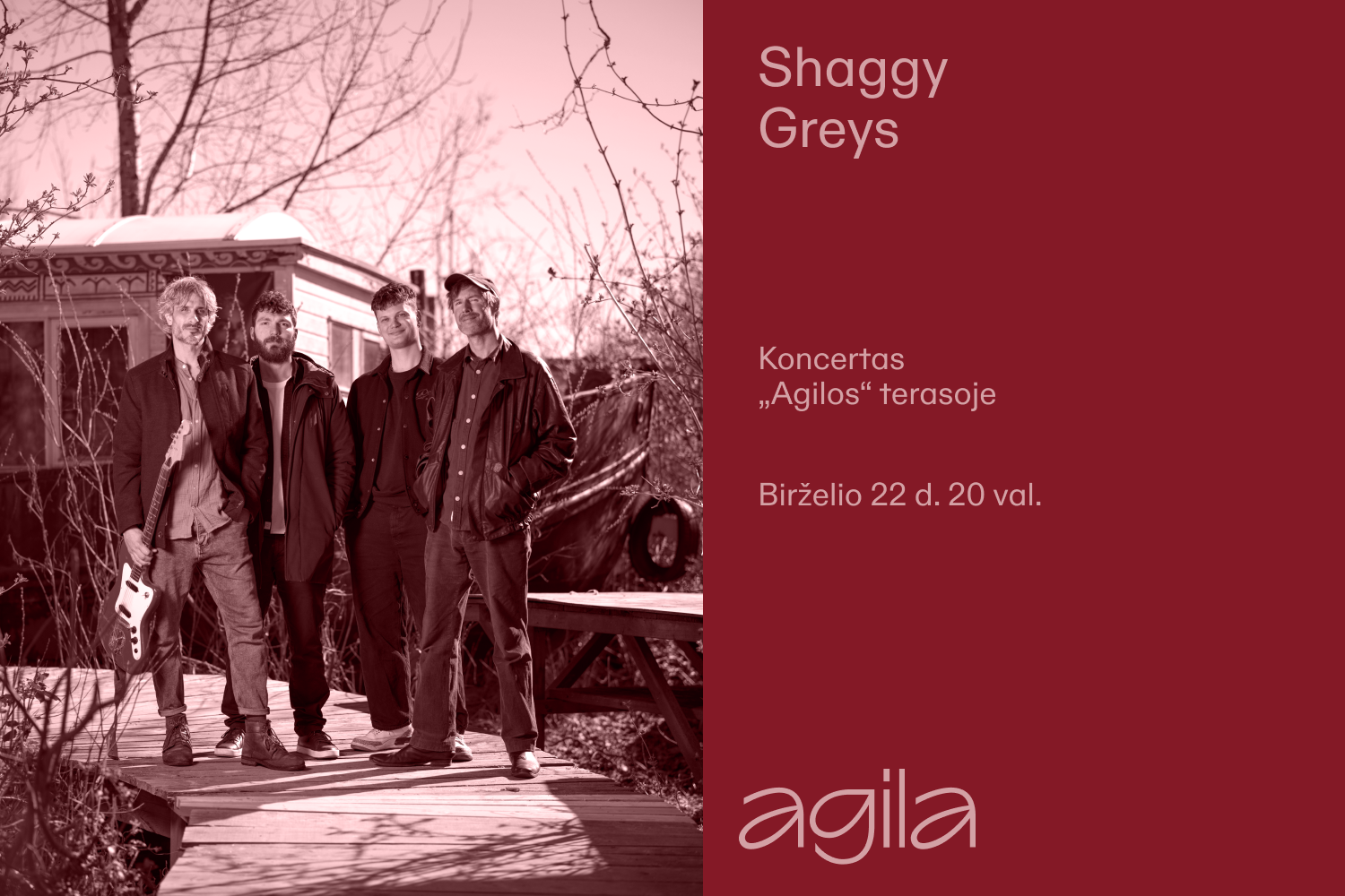 Shaggy Greys 