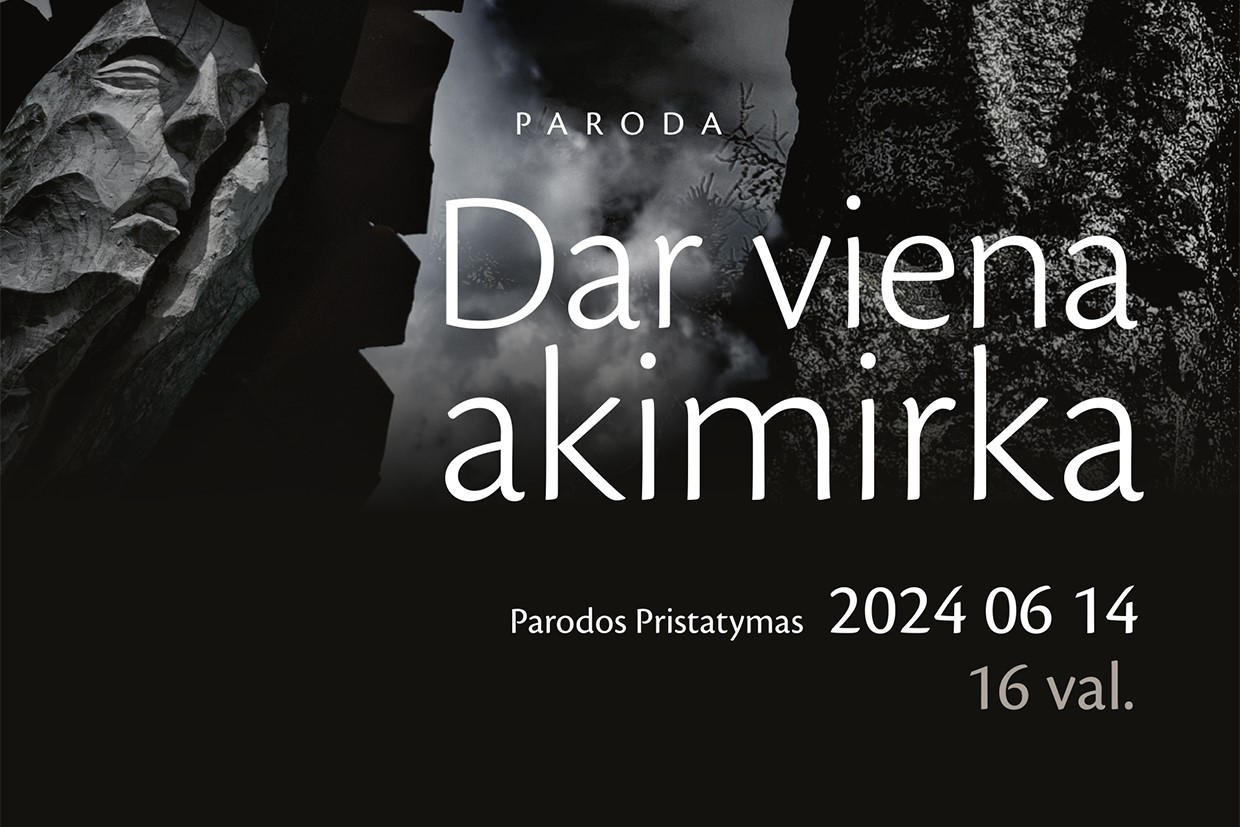 Paroda Dar viena akimirka