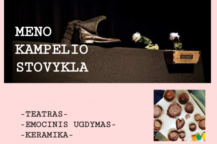 Meno kampelio stovykla