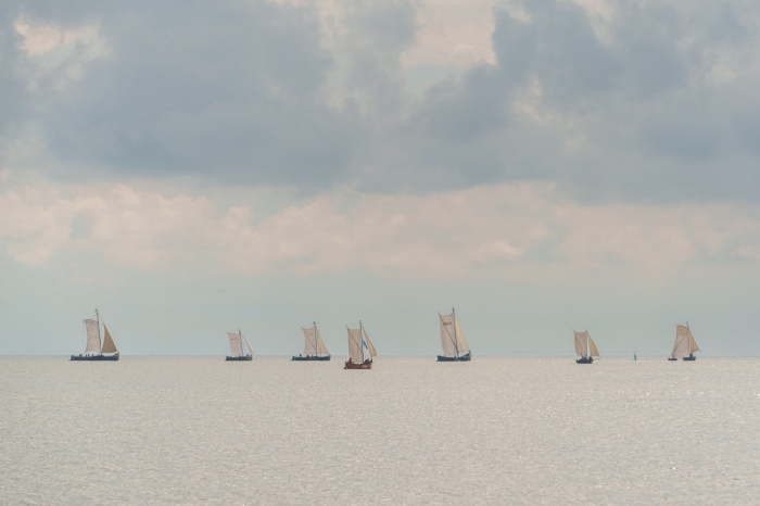 Medinio burinio laivyno regata „Burpilis“