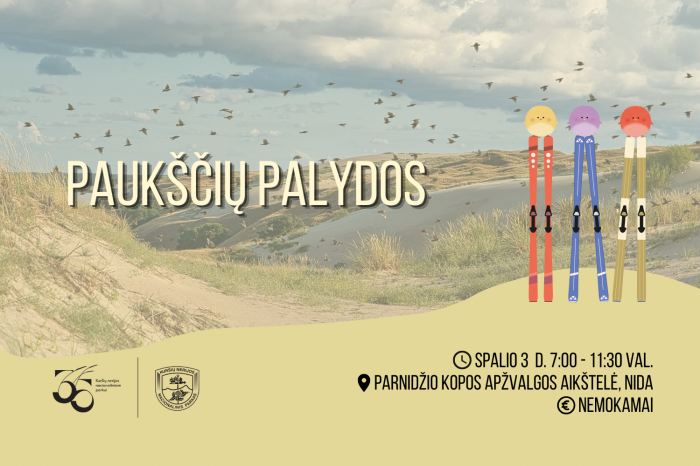 Paukščių palydos