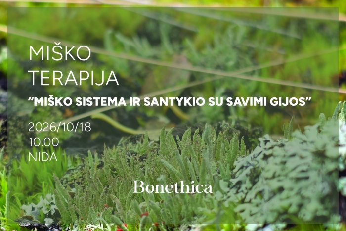 Miško terapija „Miško sistema ir santykio su savimi gijos“