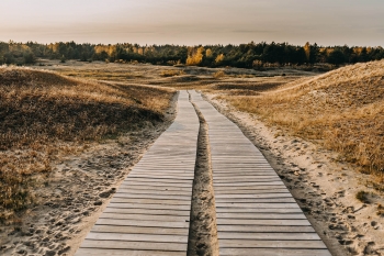 Pažintinis takas Naglių gamtiniame rezervate
