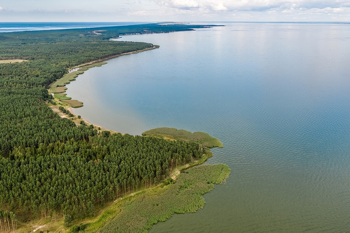 Bulvikis-Horn